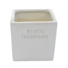Simple white 10x 10 small square succulent ceramic flowerpot, simple and creative square green plant flowerpot Item Picture